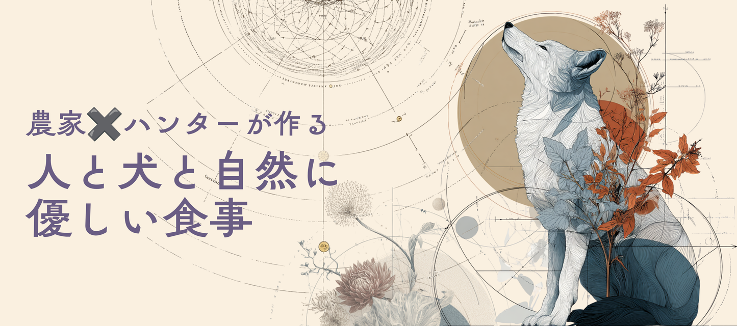 はじめての方限定 40%OFF 7日間お試しセット