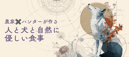 はじめての方限定 40%OFF　7日間お試しセット